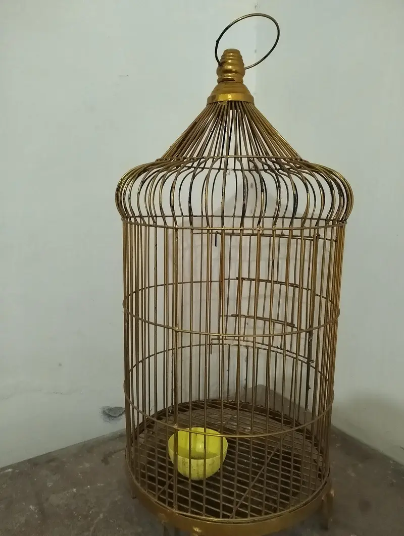 brand new pinjra ha — photo 5