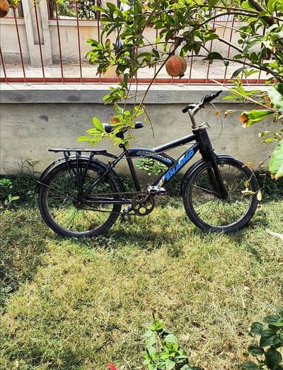 CYCLE FOR SALE! | SUPER SHAINO CYCLE | GOOD CONDITION