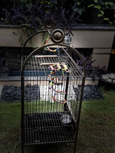 Brand New Bird Cage on 50% price.
