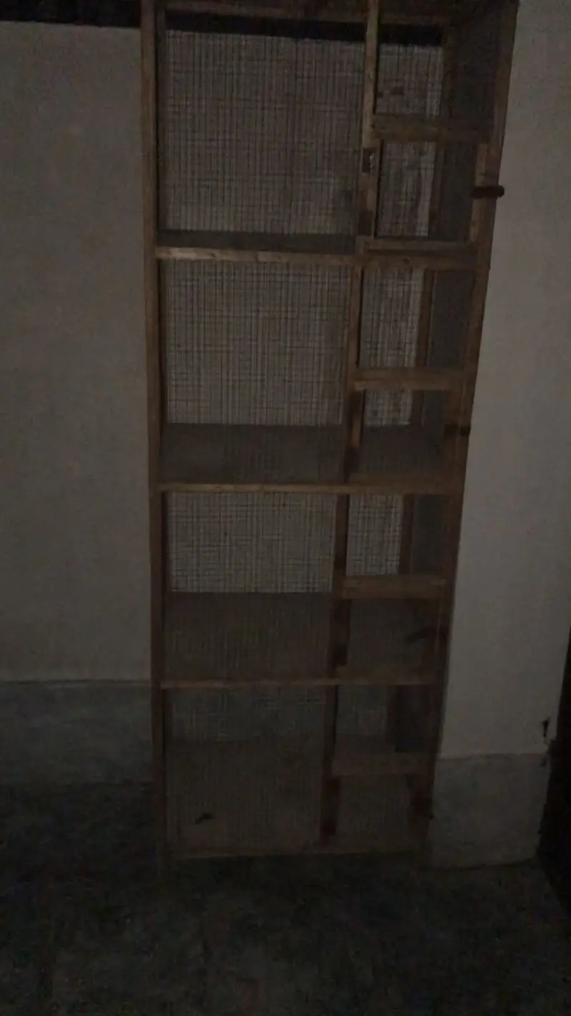 Cage for sale — photo 2