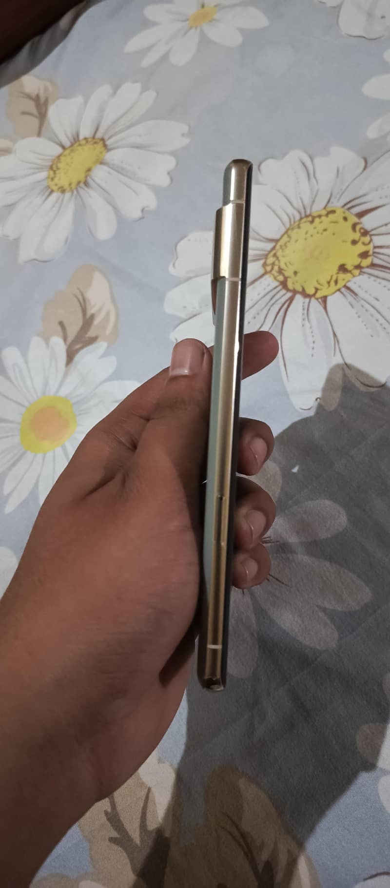 Google Pixel 7 Pro 1