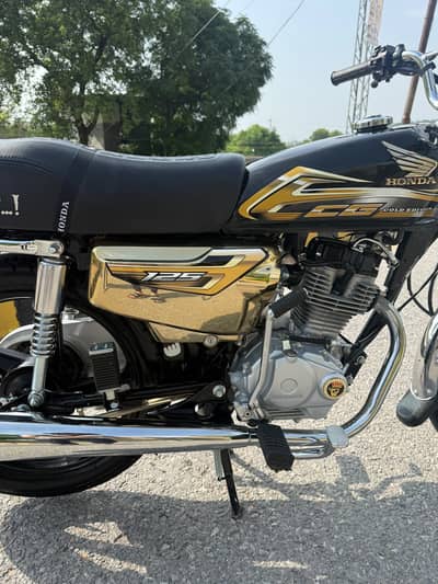 2026 Golden Edition Modified Full