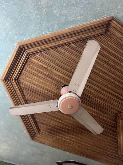 Ceiling Fan for Sale