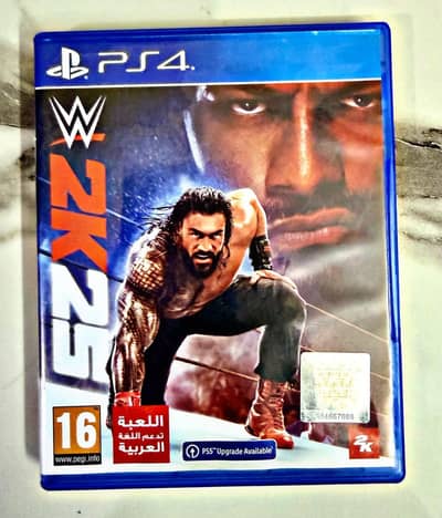 WWE 2k25