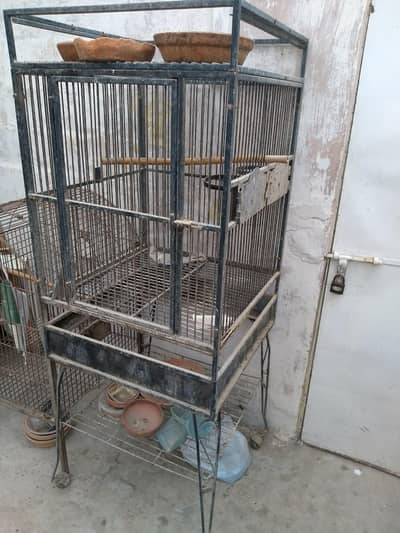 Grey parrots fancy cage folding