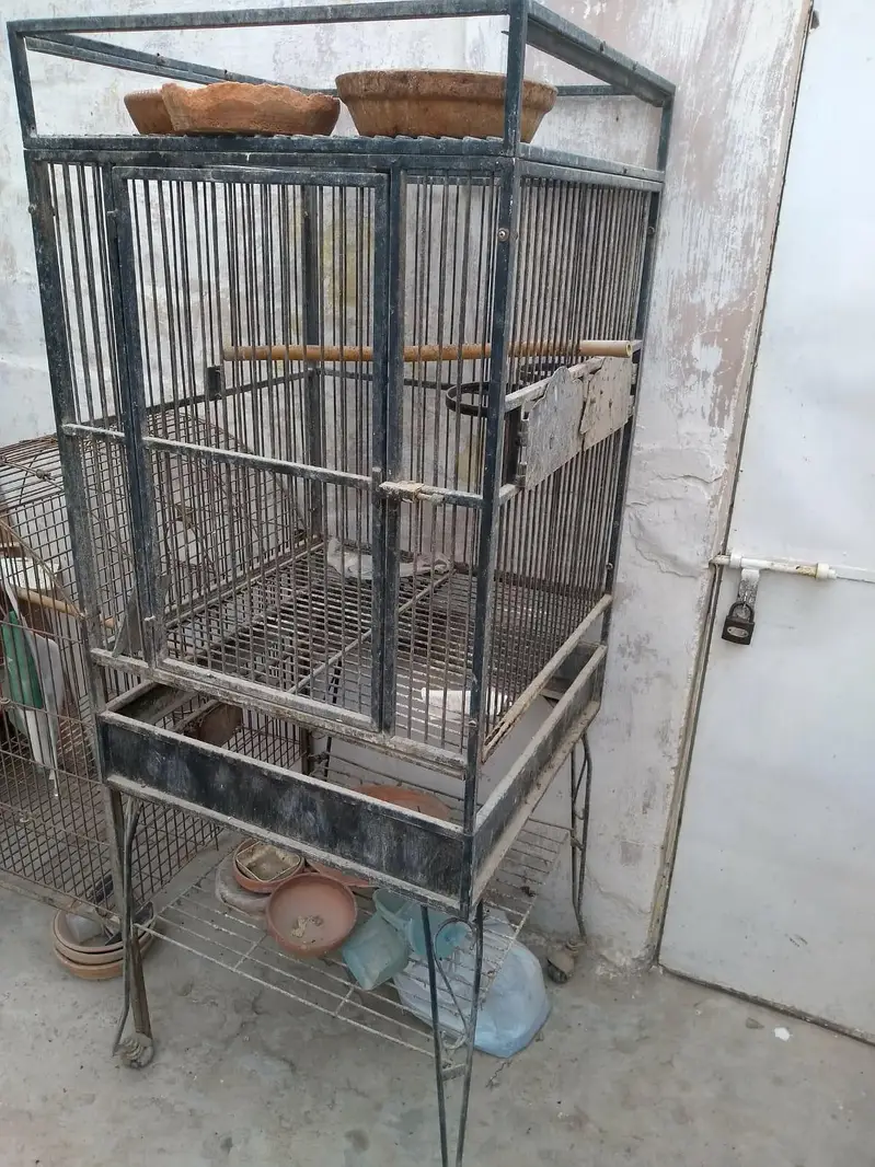 Grey parrots fancy cage folding