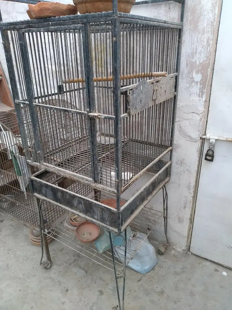Grey parrots fancy cage folding — photo 2