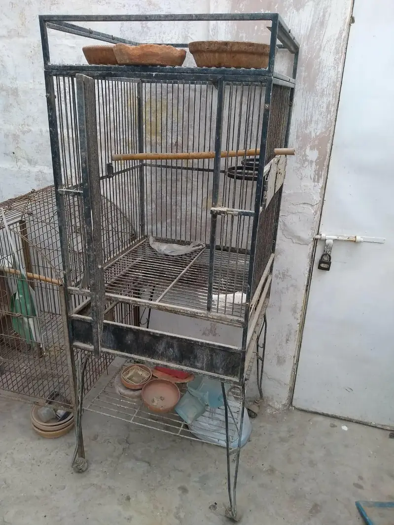 Grey parrots fancy cage folding — photo 3