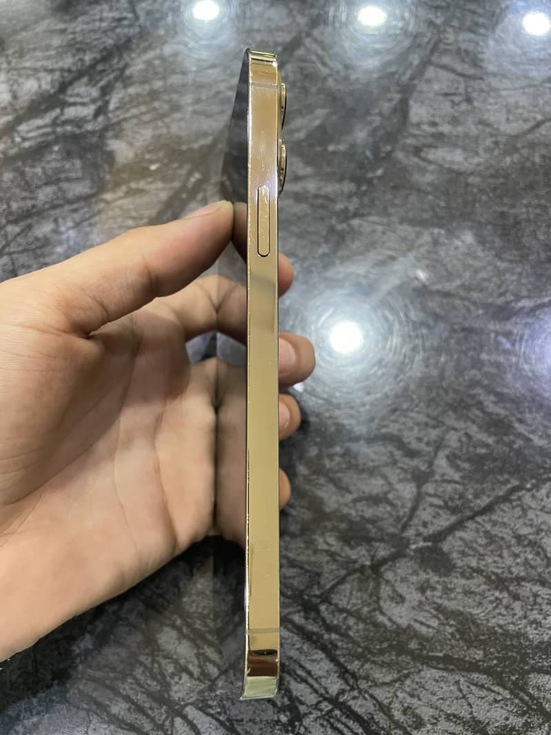 Apple iPhone 13 Pro Max 2