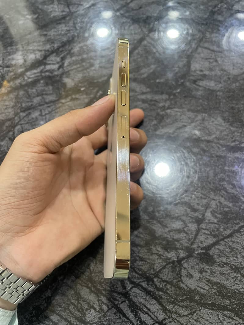 Apple iPhone 13 Pro Max 5