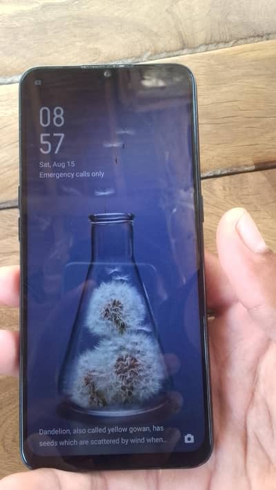 OPPO A31