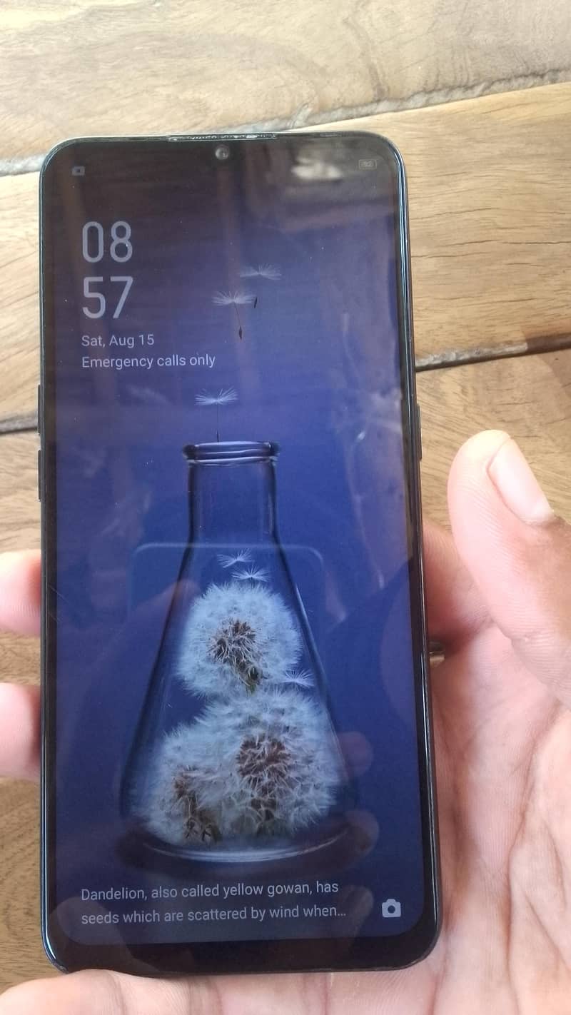 OPPO A31 0