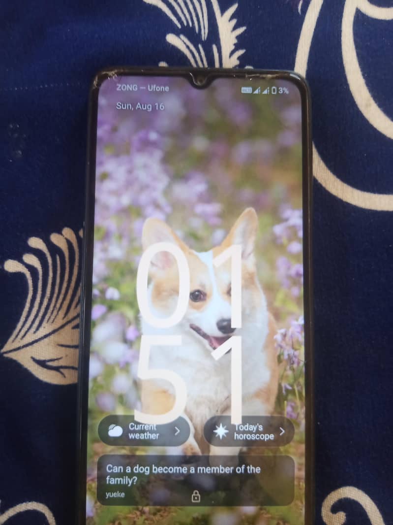 Apple iPhone 11 2