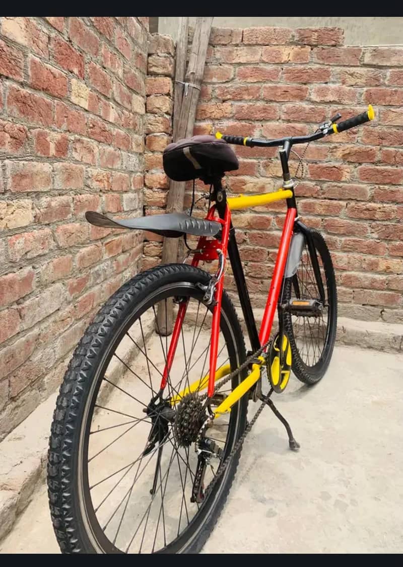 Fhonex cycle 2