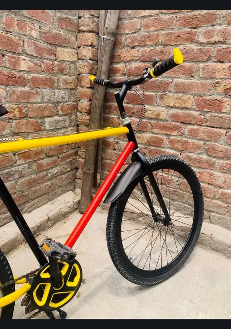 Fhonex cycle 6