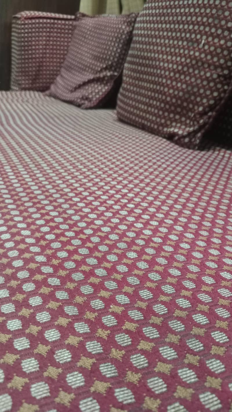 Sofa Cum Bed 1