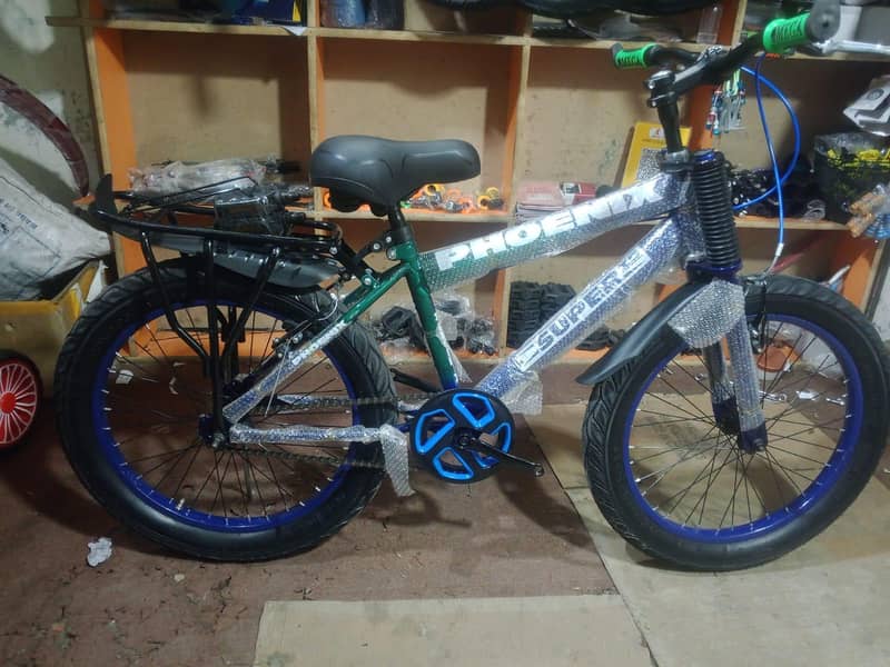 Phoenix bicycle 1