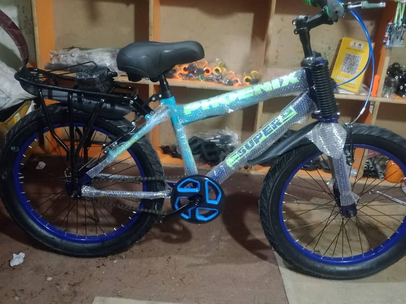 Phoenix bicycle 2