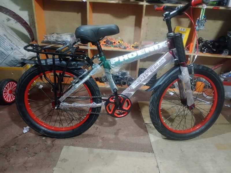 Phoenix bicycle 3