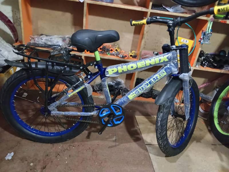 Phoenix bicycle 4