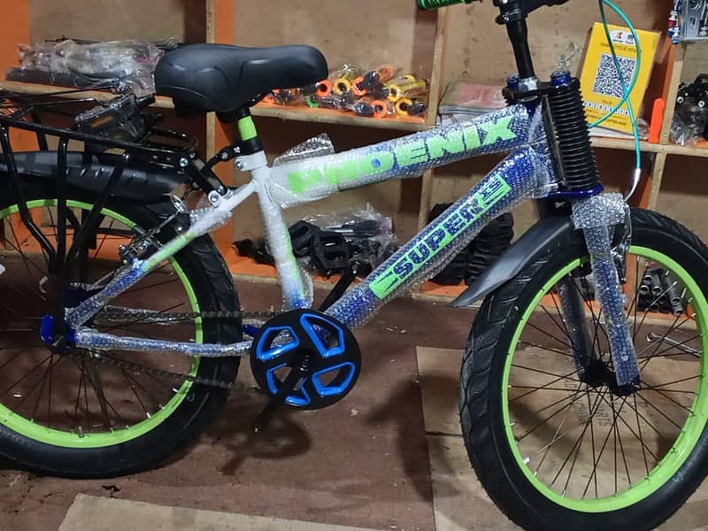 Phoenix bicycle 5