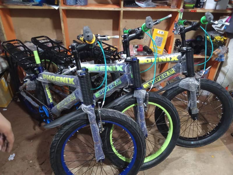 Phoenix bicycle 6