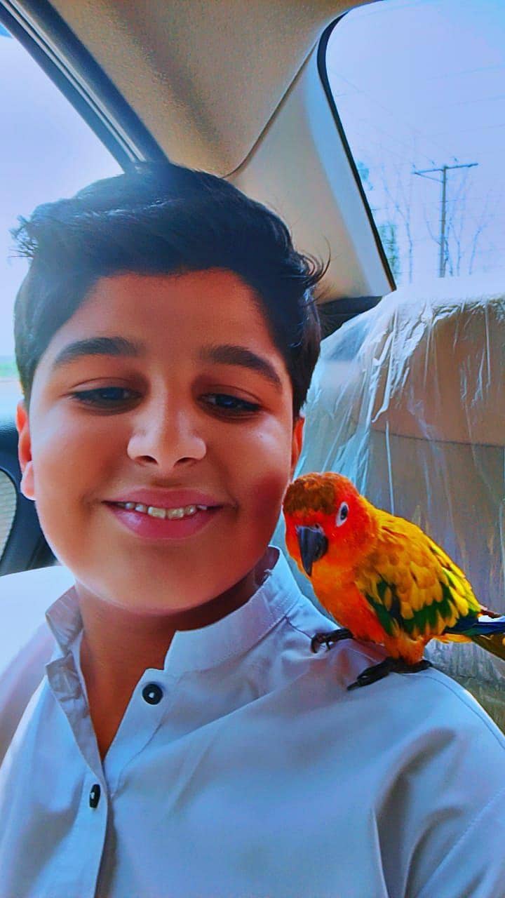 parrot 1