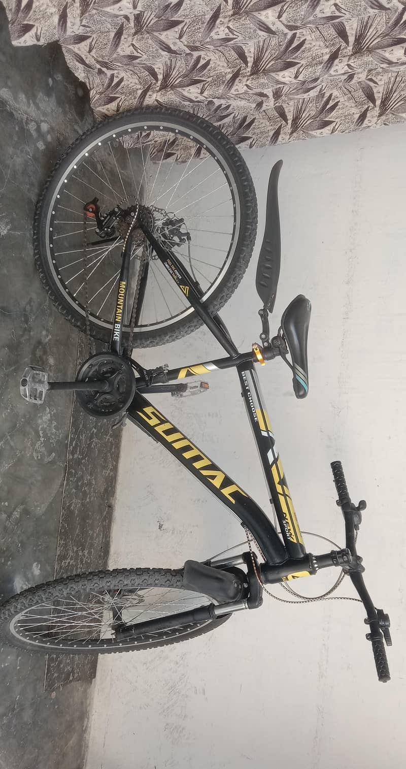 bicycle 0