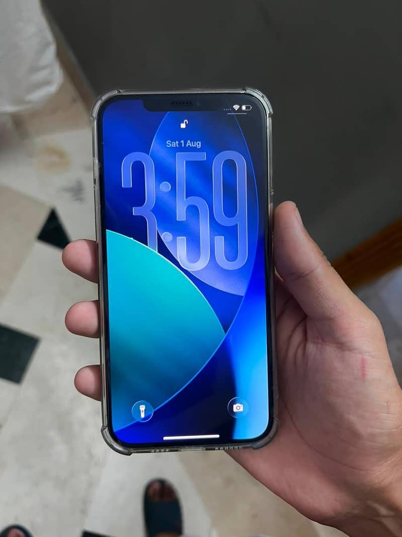 Apple iPhone 12 Pro Max 1