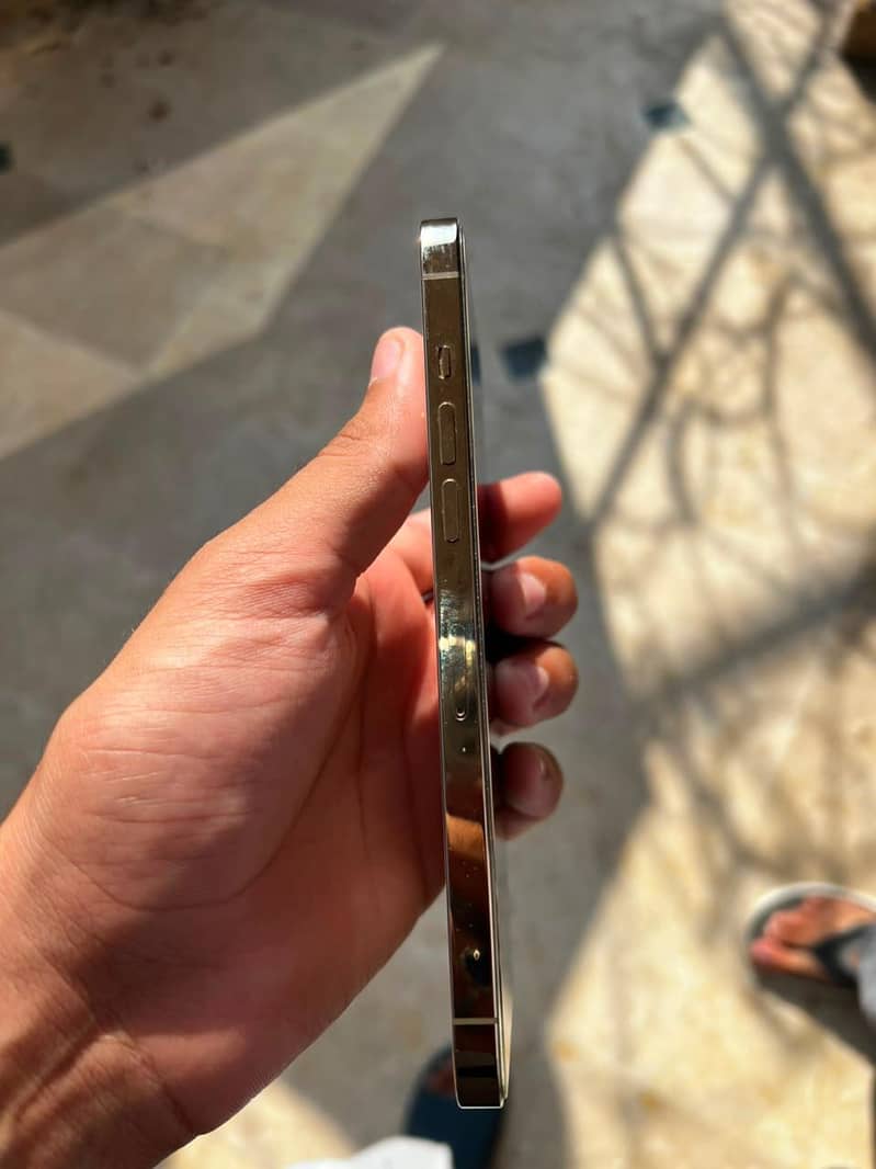 Apple iPhone 12 Pro Max 2