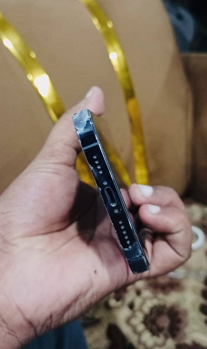 Apple iPhone 13 Pro Max 2