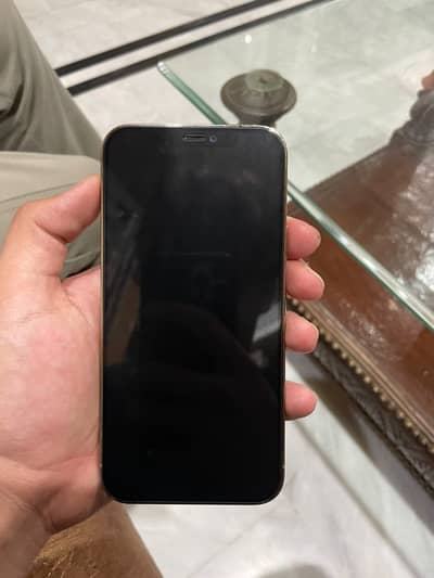 Apple iPhone 12 Pro