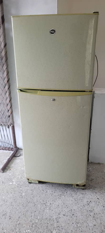 pEL 123