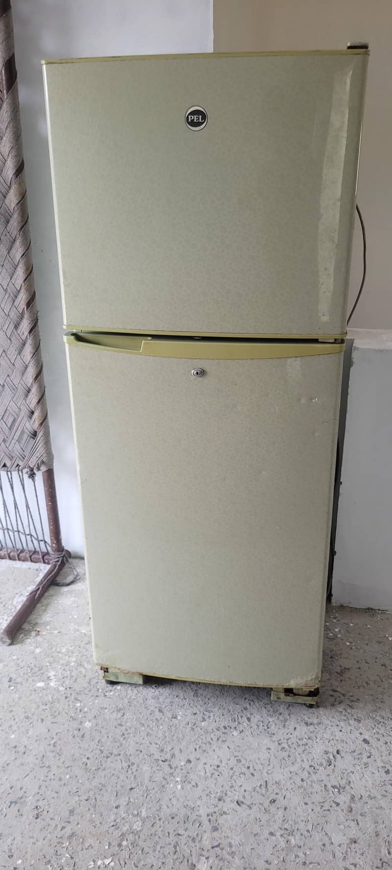 pEL 123 0