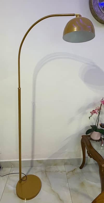 Floor Arc Lamp
