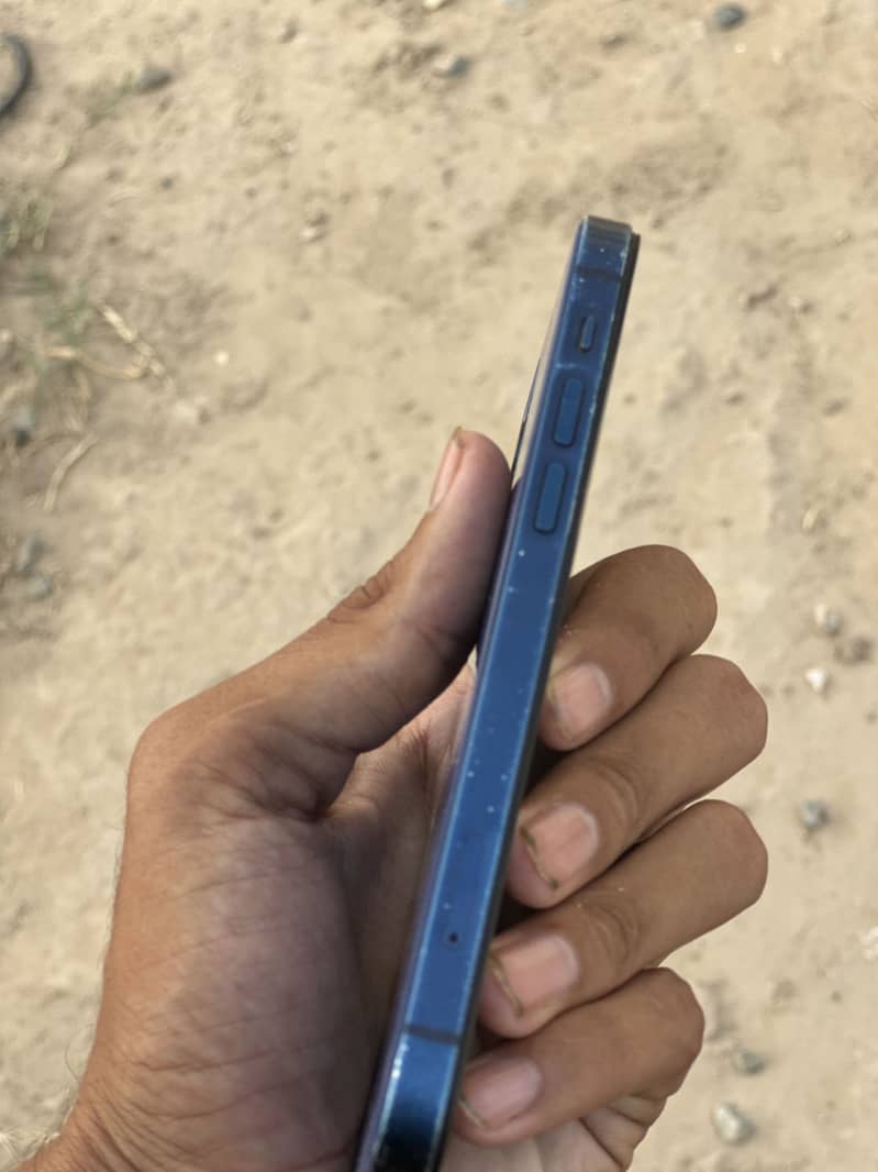 Apple iPhone 12 1