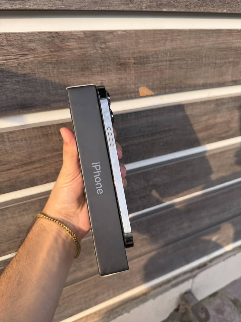 iPhone 13 Pro Max 1