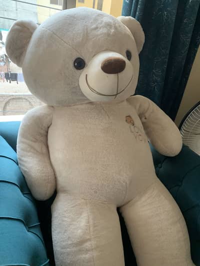 Human size teddy bear in good condition