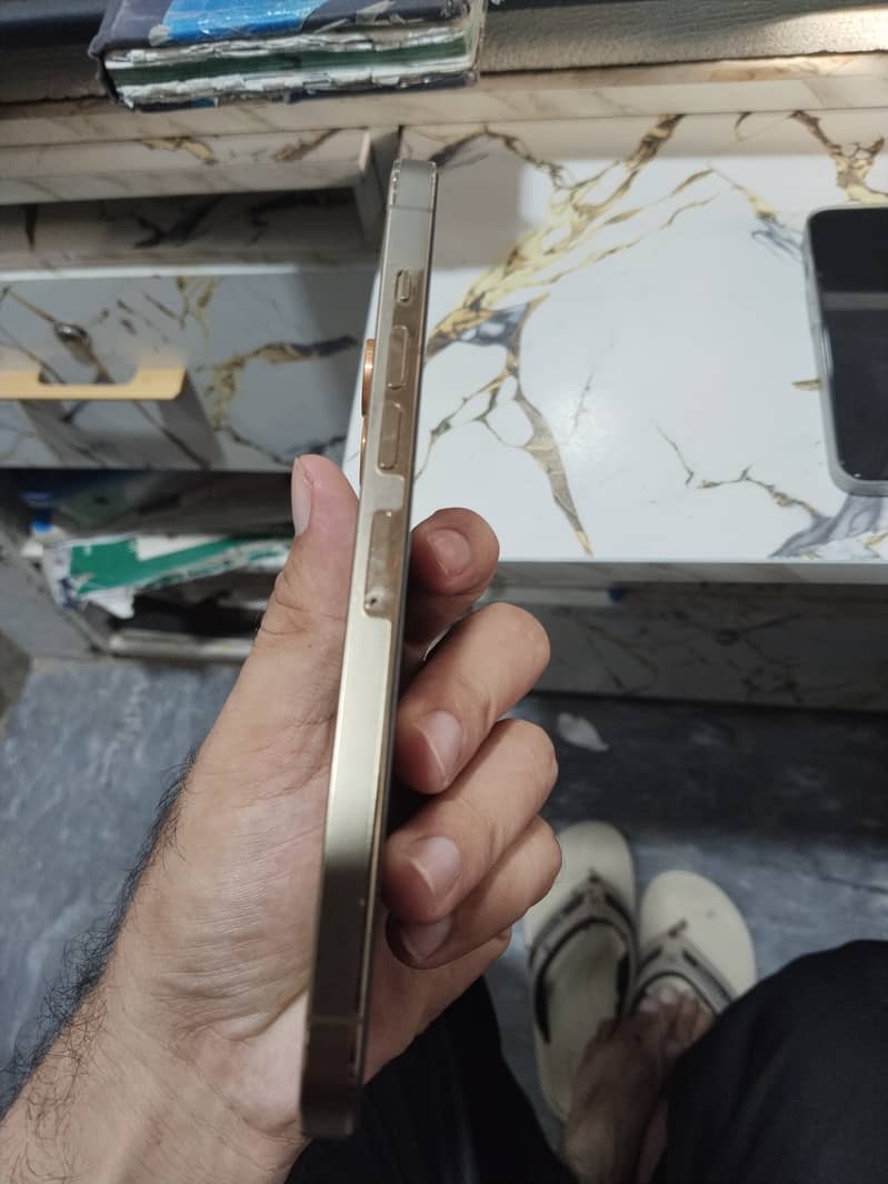 Apple iPhone 13 Pro Max 2