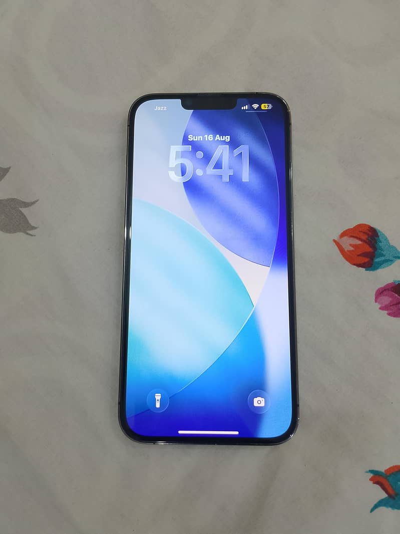 Apple iPhone 13 Pro Max 1