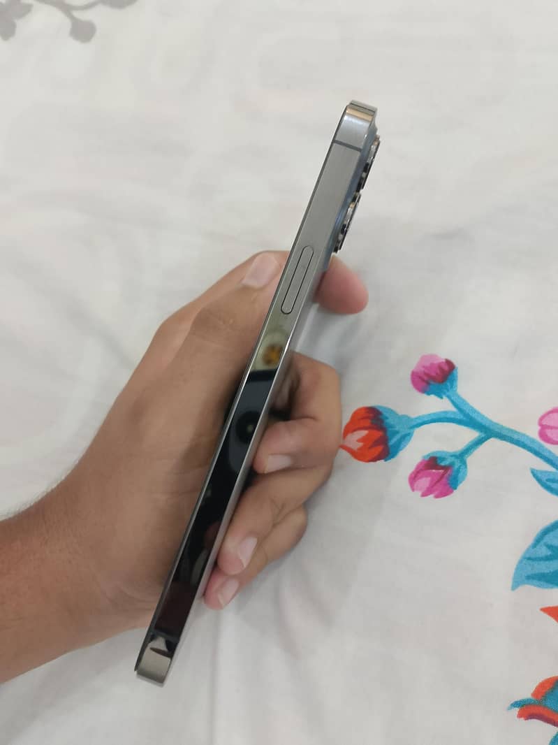 Apple iPhone 13 Pro Max 2