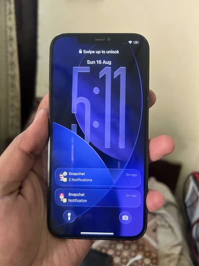 Apple iPhone 12 Pro Max