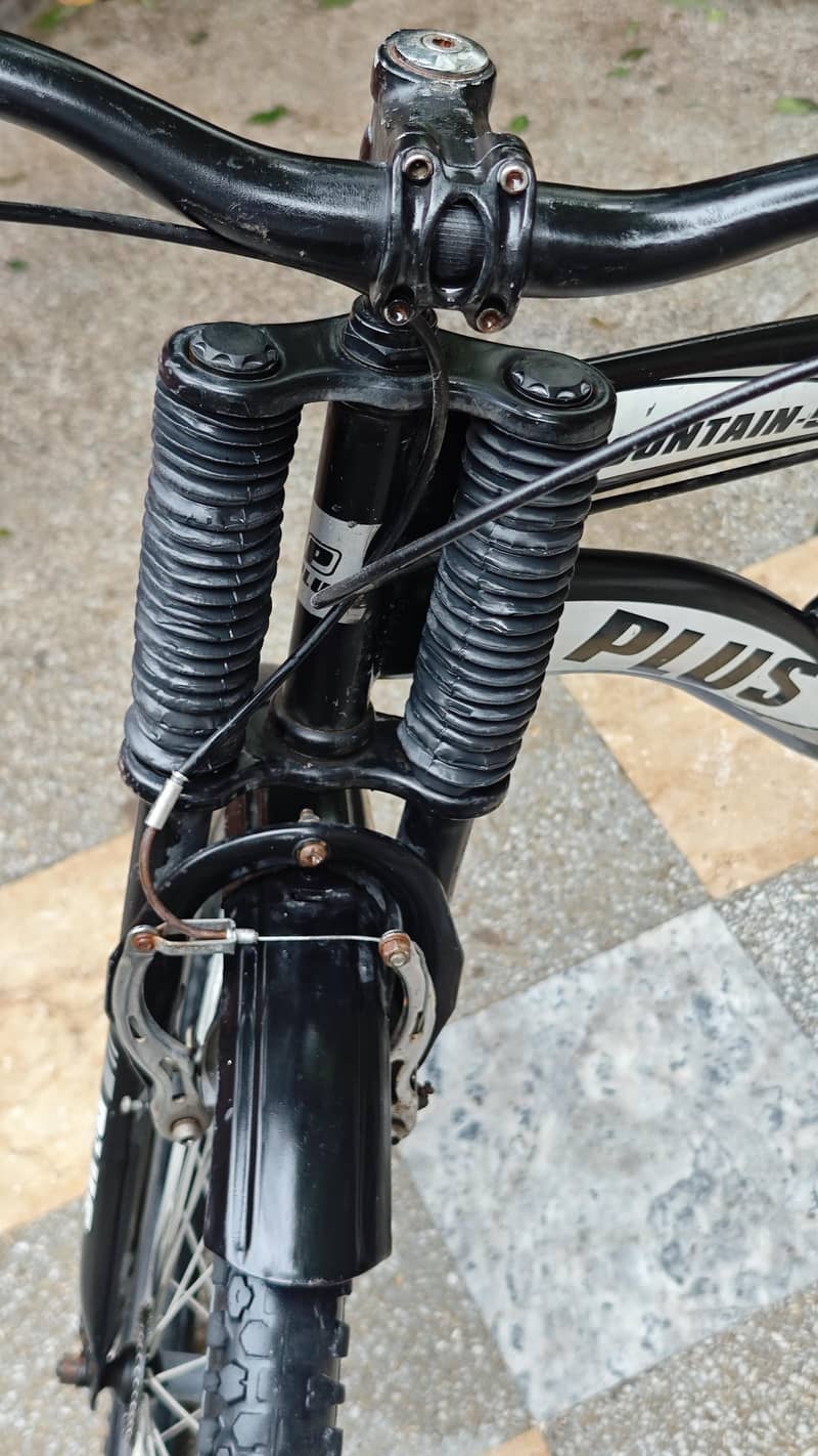 mountain bicycle 1