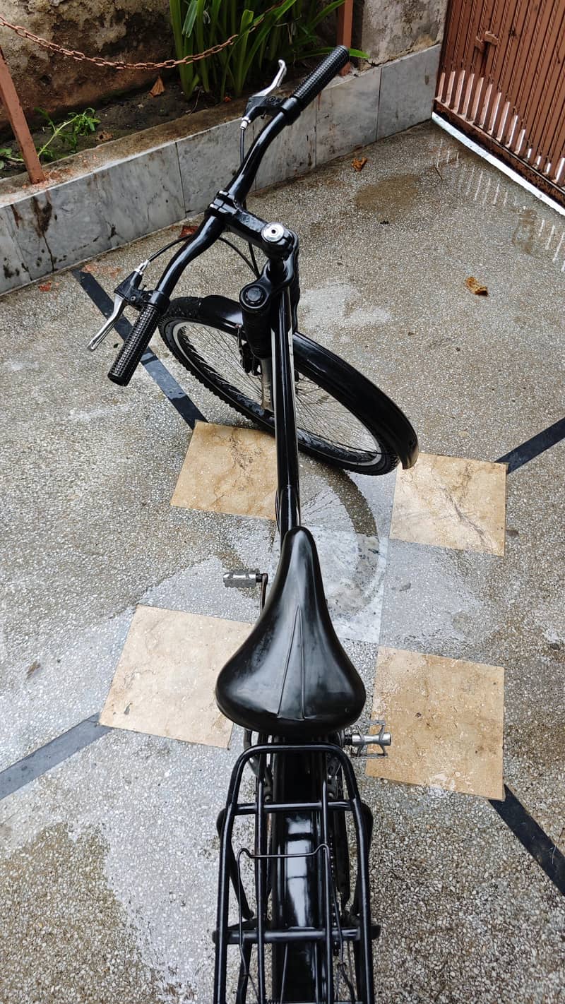 mountain bicycle 6