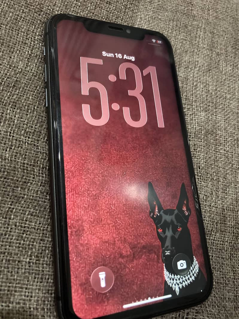Apple iPhone 11 5