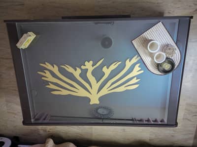Elegant Glass-Top Center Table with Storage Drawer