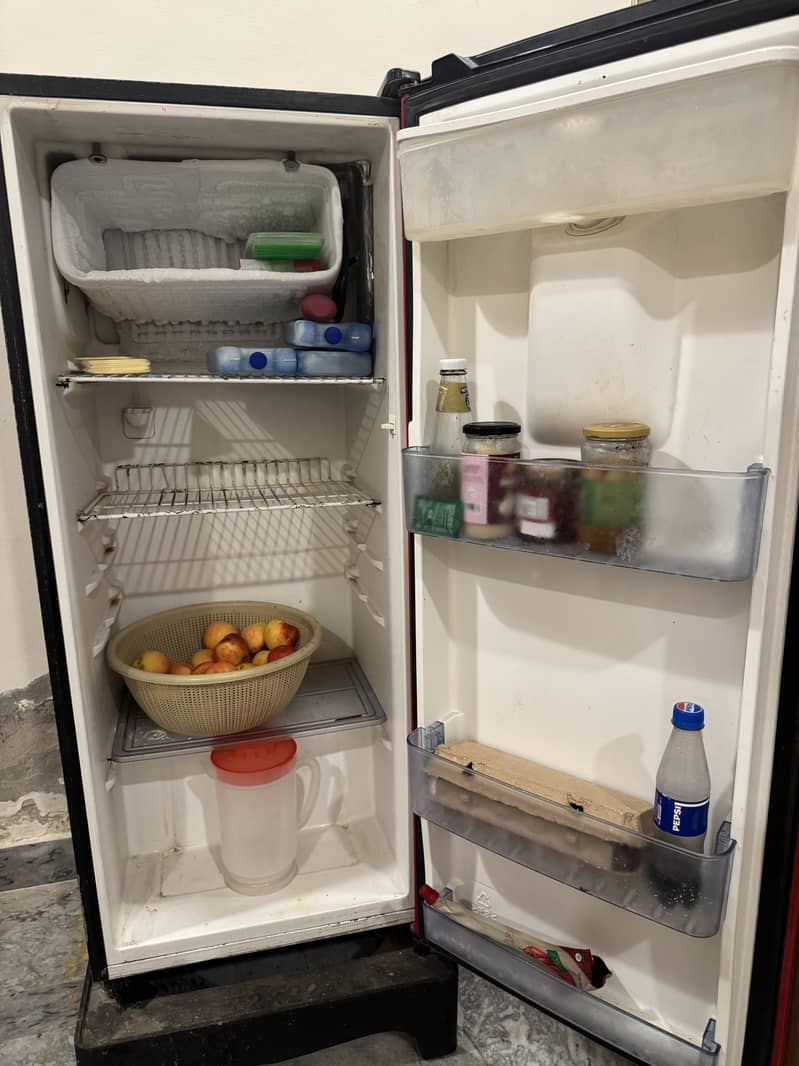 Single Door Fridge 3