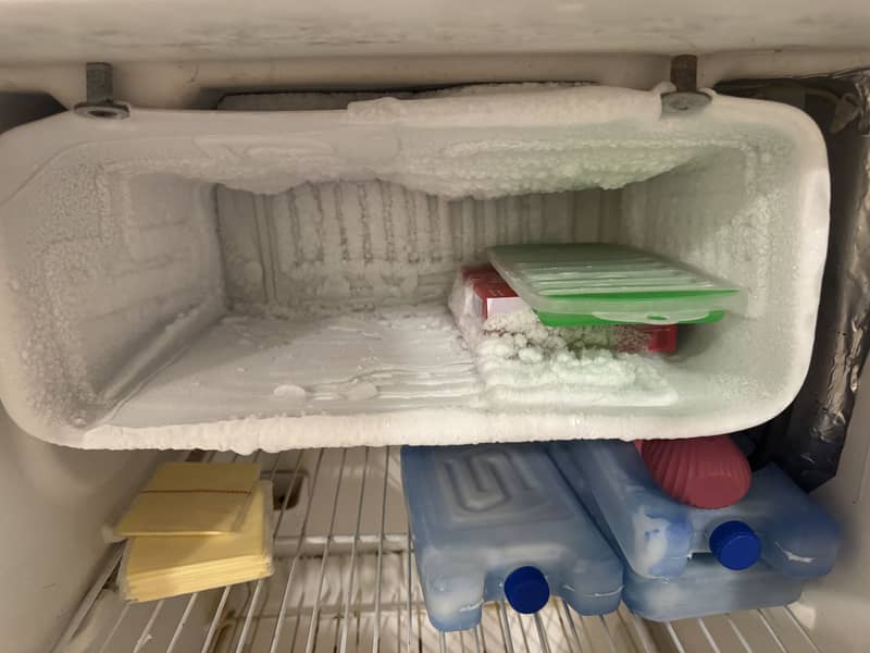 Single Door Fridge 7