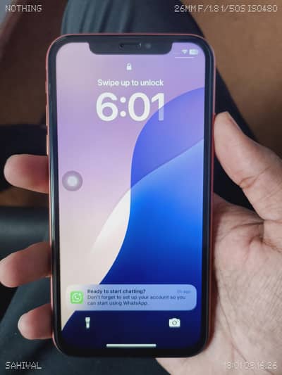 Apple iPhone XR