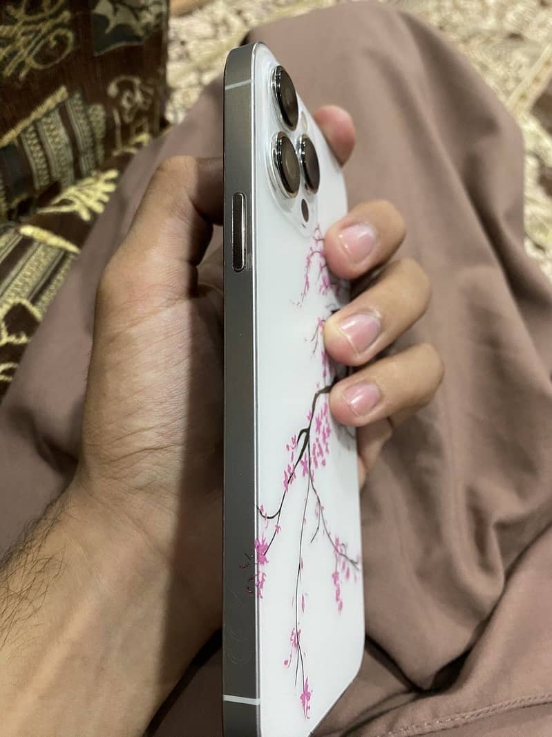 IPHONE 13 PRO MAX 1